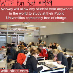 wtf-fun-factss:  Study in Norway for FREE - WTF fun facts