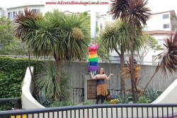 mistressaliceinbondageland: Finished pride flag project with Denali Winter - hundreds of people in downtown San Francisco, California saw our public bondage performance art this year. See the video at http://www.aliceinbondageland.com - we’re putting