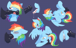 htpot: Since I clearly haven’t animated enough Dash lately, here’s 6 more loops for the price of (n)one!Soo…this took a while, but I think they turned out pretty great. Had fun with all them fluid movements. Anyway, enjoy! :) &gt; Original art by