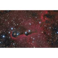 The Elephant&rsquo;s Trunk Nebula in Cepheus #nasa #apod #elephantstrunk #nebula #elephantstrunknebula #ic1396 #vdb142 #constellation #cepheus #interstellar #gas #dust #clouds  #hydrogen #star #stars #starformation #protostars #milkyway #galaxy #universe
