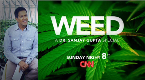 Dr sanjay gupta