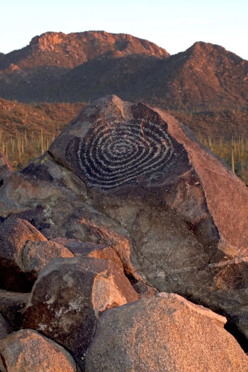 centuriespast:A spiral stone engraving on Signal Hill in Saguaro NationalPark, Arizona, dated 550 to 1,550 years ago.Credit…John Cancalosi/Alamy