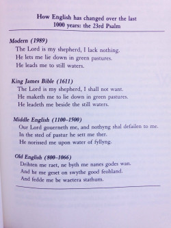 systlin:  beautifultoastdream:  denchgang:  bluecaptions:  How English has changed in the past 1000 years.  the big mans a lad i have fuck all, he lets me have a kip in a field he showed me a pond   I think my favorite part is how the first three are