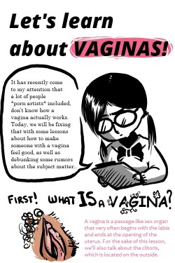 0nlymem0ries:  Reblogging this because most males don’t understand vagina’s.