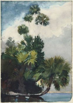 nobrashfestivity:   Winslow Homer, Palm Trees, Florida, 1904   Watercolor  MFA, Boston 