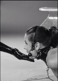 pet-christina:  my-lesbian-pet:  Submissives are like air.Every Domme needs one to breathe…   Sometimes Mistress lifts up my chin to make me look at Her. She seems to enjoy the total surrender sparkling in my eyes x 