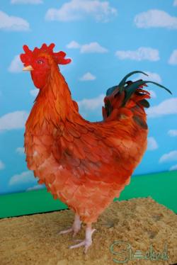 cakedecoratingtopcakes:  Macho the Rooster by Stacked …See the cake: http://cakesdecor.com/cakes/148849-macho-the-rooster