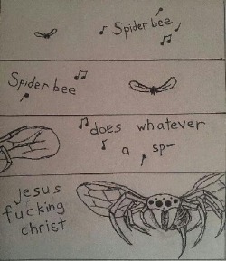 Spider bee