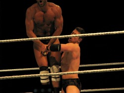 cm-hunk:  things I like about this picture:  the miz’s face  that’s a kendo stick  the amount of ouch