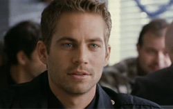 loneliness-is-my-bff:  I think there are ugly people in this world because God accidentally gave this man some of THEIR beauty. Ugly people have Paul Walker to blame! Why must he be so beautiful. Fuck Paul Walker! I LOVE HIM! &lt;3  