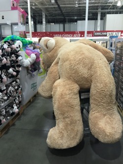 exploding-macaroni:  asian:  asian:  I watched the Shia labeouf’s motivational video last night and felt really inspired. So I went out and bought a Costco bear that I’ve always wanted  Don’t let dreams be dreams.  Update: I no longer have a bed
