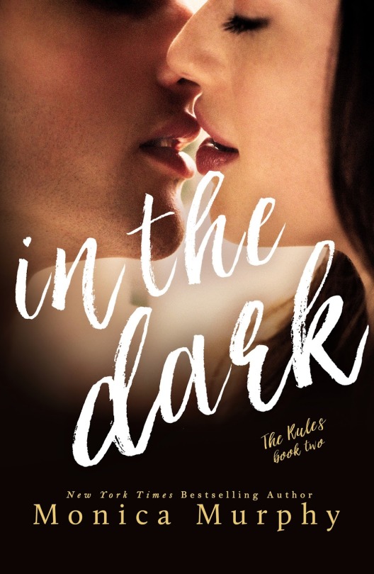 In The Dark by Monica Murphy