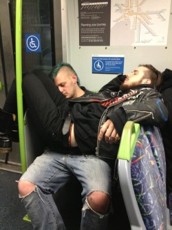   alantyson:  sweetappletea:  Punk’s not dead. Just exhausted.  Punk needs a blanket. Maybe some chamomile tea.   