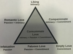 bitchywhitebrunette:  The Triangular Theory of Love (Robert Sternberg)