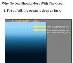 thefuuuucomics:  i’m glad the shit that lives in the ocean lacks the ability to leave the ocean because most of it is scary as fuck  Damn nature. You scary!