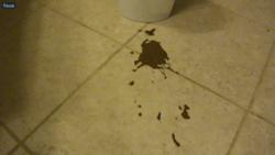 gebackpac:  DIARRHEA SHOOTS OUT OF MY ASS NASTY ALL OVER THE FLOOR AND INTO THE GARBAGE CAN  Download Diarrhea Shoots Out Of My ASS Movie