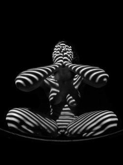 hapticperceptions:  Stripe Series - 1195 by Chris Maher, 2010