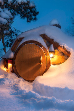maya47000:  Winter hobbiton by Andrey Chabrov 