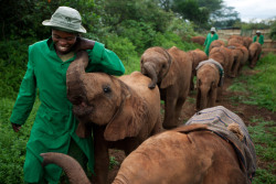 oralsexual: s-kipp:   Elephant orphanage  take me  THAT ELEPHANT LOOKS SO HAPPY 😭 
