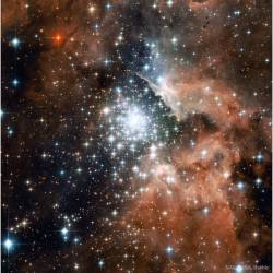 Starburst Cluster in NGC 3603 #nasa #apod #esa #stsci #aura #hubble #hubbleheritage #hubblespacetelescope #ngc3603 #milkyway #carina #spiralarm #starcluster #stars #starformation #interstellar #gas #dust #clouds #universe #space #science #astronomy