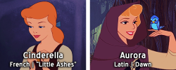 alostwendybird:  kristoffbjorgman:  Disney Heroines + their names’ meanings Bonus:  reblogging almost solely because almost everyone’s name is meaningful but Rapunzel’s literally just means lettuce   Nancy is not Hebrew. Girls (and some boys) in