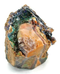 Nevada Wood Opal