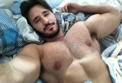 NSFW hairy♥furry nsfw gay porn gifs