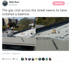 septembriseur:  emperor-of-roses:reblog to support these gay bees #i believe you mean the gay club has installed a second smaller gay club#for the gay bees (@fursasaida)