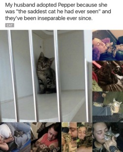 therootbeersprite:  purplefairydragon7:  sheilikhal:   monkeysaysficus:  onyourleftbooob:  Before vs After Adoption[source]         Truthfully the most precious thing I have ever had the privilege to repost.    Precious Pets are the posts that I need