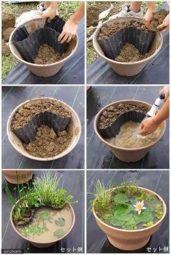 touhou2k14:  besturlonhere:  urban-homesteading:  How to make a diy porch pond! Super easy! Article: http://www.craftlikethis.com/diy-porch-pond/  make your very own Swamp Pot Mosquito Farm in six easy steps   brought to you by the North American Malaria