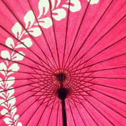 patternatic:  Japanese Umbrella #pattern #umbrella (八瀬比叡山口駅) 