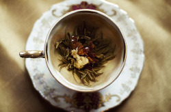 teatimewithemma:  (via the bloom. | Flickr - Photo Sharing!) 