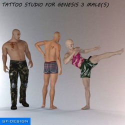  Add  some cool tattoos to your Genesis 3 Male based characters. 32 tattoo  LIE (Layered Image Editor) presets for all your Genesis 3 Males. The  presets work with any Genesis 3 Male based character.  Created by SFD and is 30% off until 8/10/2016! Get