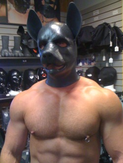 agentj99:  Sam had never been in a fetish shop. The salesman showed him to the dog hood and paws. Being an adventurous sort, Sam decided to give it a go. The fit was perfect, too perfect. Sam tried to take them off, but he couldn’t. They were stuck