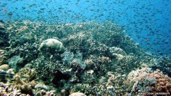 breakingnews:   Australia approves plan to dump dredge in Great Barrier Reef BBC News: Australian authorities approved a project to dump dredge spoil into the Great Barrier Reef marine park on Friday as part of a larger project to create one the world’s