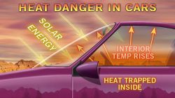 accuweather:  Hot Cars Can Kill: 20 Children Already Dead in 2013 Continuing heat waves add to concerns for child and pet safety following the deaths of 20 children left in cars.