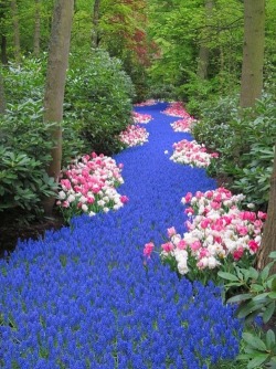 How does your garden grow &hellip; a gorgeous “river” of flowers