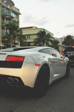 visualechoess:  560 on Ocean - by: Exotic Car Life 