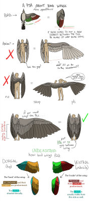 chinburd:  the-eldritch-angel:  So Your Angels Have Bird Wings by squidlifecrisis  @paimon001 
