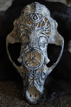 magicallycapricious:  Carved black bear skull. Tree of life and a triquetra.  Available on my etsy here: https://www.etsy.com/listing/207755727/tree-of-life-carved-bear-skull?ref=shop_home_feat_4 