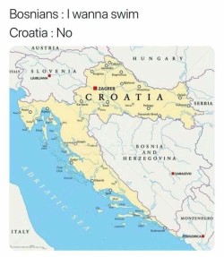 221cbakerstreet: one-time-i-dreamt:  wszystko-czerwone:  keeperofseeds:       As a Croat, seeing a meme about my country for the first time ever on Tumblr is an experience    Bosnia and Herzegovina can have a little shoreline. As a treat 