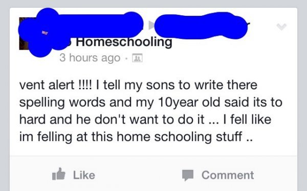 Homeschool story