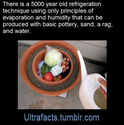 blackgirlspiriting:  ultrafacts:     A pot-in-pot refrigerator, clay pot cooler is an evaporative cooling refrigeration device which does not use electricity. It uses a porous outer earthenware pot, lined with wet sand, contains an inner pot (which can