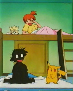 pacificpikachu:  I’ve always loved the fact that in this scene, Misty is sleeping in Ash’s bed while he sleeps on the floor. (Episode: Make Room for Gloom!) 