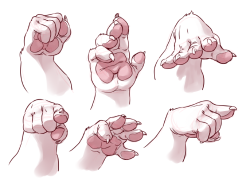 catsudon:  Some paw studies I did yesterday as a warm-up. Referenced the hand poses from the amazing Aaron Blaise, here! Furaffinity | Twitter 