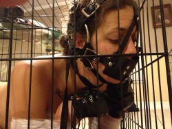 masterandpup-pet:  some photos from pet play time. she really enjoys being degraded and displayed 