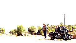 easycompany:  Sons of Anarchy: 8 gifs per episode → Patch Over ↳ “In my own defense, you said to drug the dog. You weren’t very specific.” 