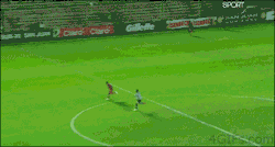 quads-for-the-gods:  watched the whole world cup in one gif.