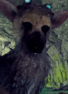 smokeauditore:Trico being so cute   （*´▽｀*）   No, not porn.Just one of my fav gaming babies &lt;3Trico for your cuteness viewing pleasure.