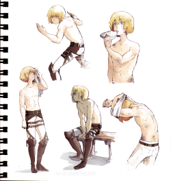 sha-sha-shroom:  i noticed there are not very many people who draw Armin with muscles (maybe im just missing them??) but i think its impossible for him to not have muscles ya know? 